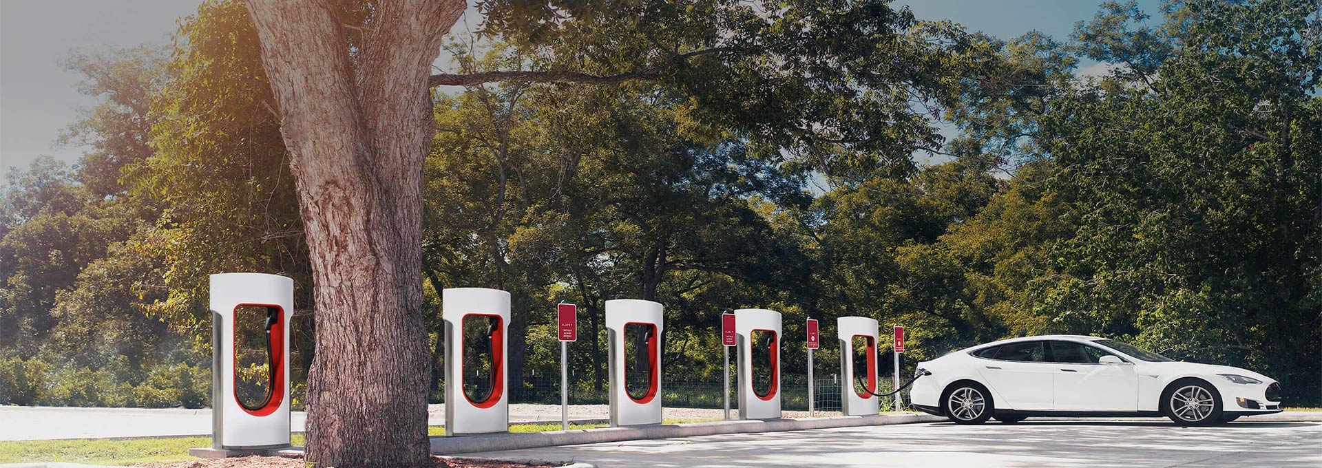 1702707591.jpg 2021012169669_32 (1).jpg